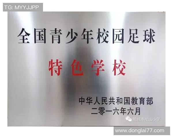 少年宫足球活动计划助力青少年健康成长与团队合作精神培养